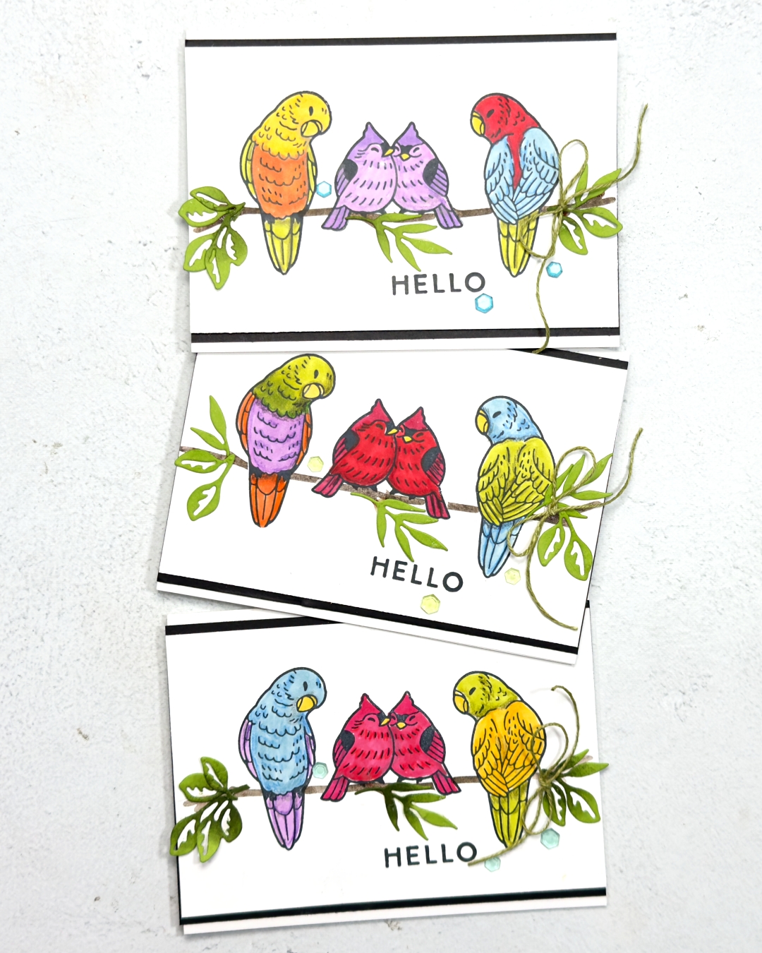 Feathered Fun using Water Colour pencils to add shading and texture