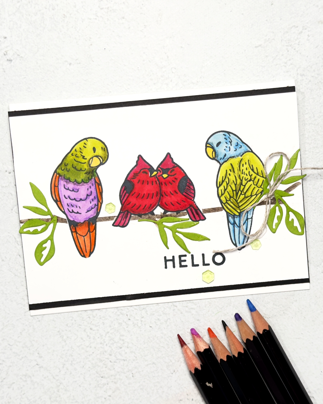 hello feathered Fun card